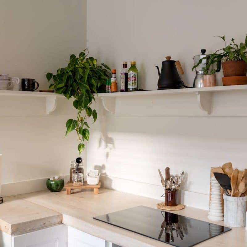 Modern kitchen countertop with potted plants, cooking utensils, and condiments, highlighting home buying and title services context.