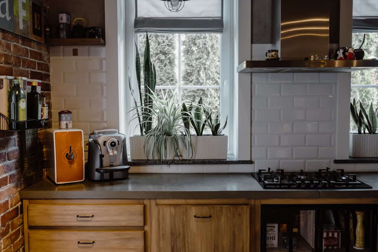 Kitchen countertop featuring a coffee machine, orange water dispenser, and potted plants by the window, emphasizing a modern and inviting space for real estate closing activities.